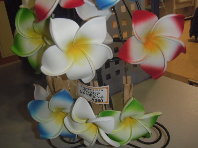 DSCF0679.JPG