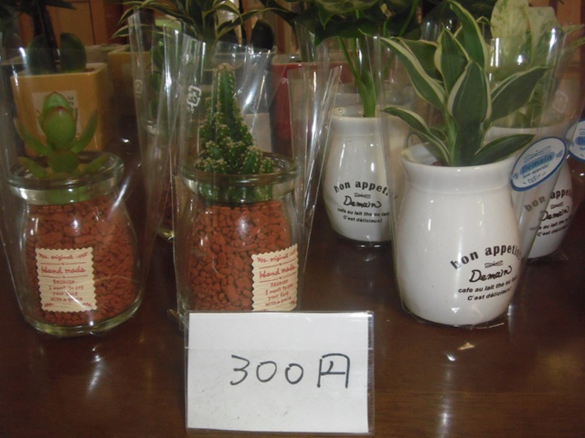 DSCF0685.JPG