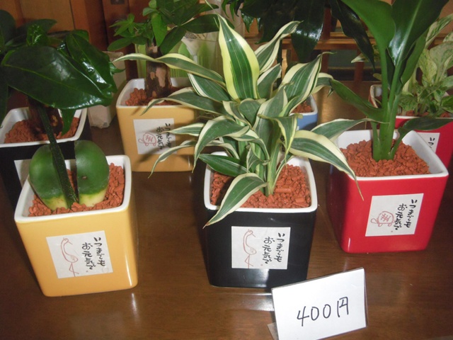 DSCF0687.JPG