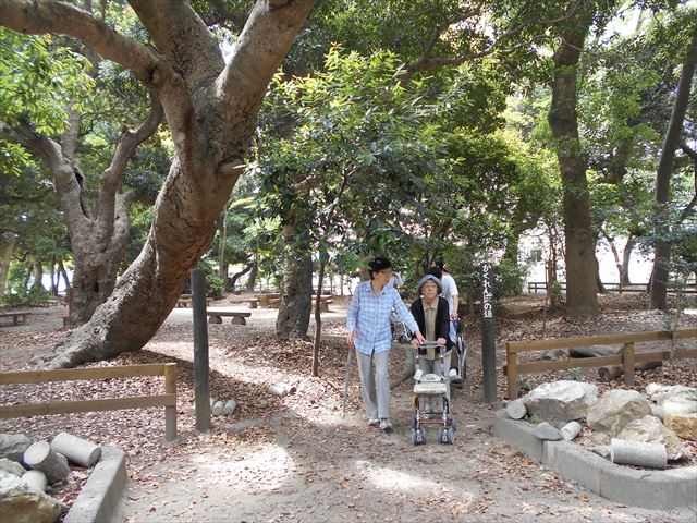 DSCN1559_R.JPG