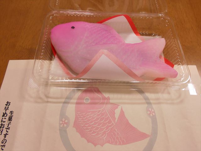 DSCN2905_R.JPG