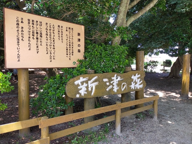 IMG20210713125549_R.jpg