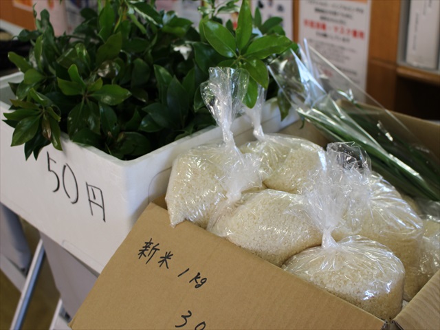 IMG_1744_R.JPG