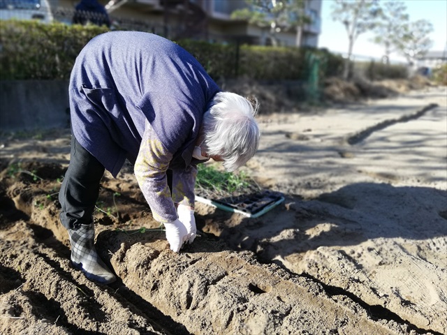 新津はたら倶楽部！畑はじめます！！
