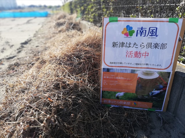 新津はたら倶楽部！縦軸企画「畑」第2弾