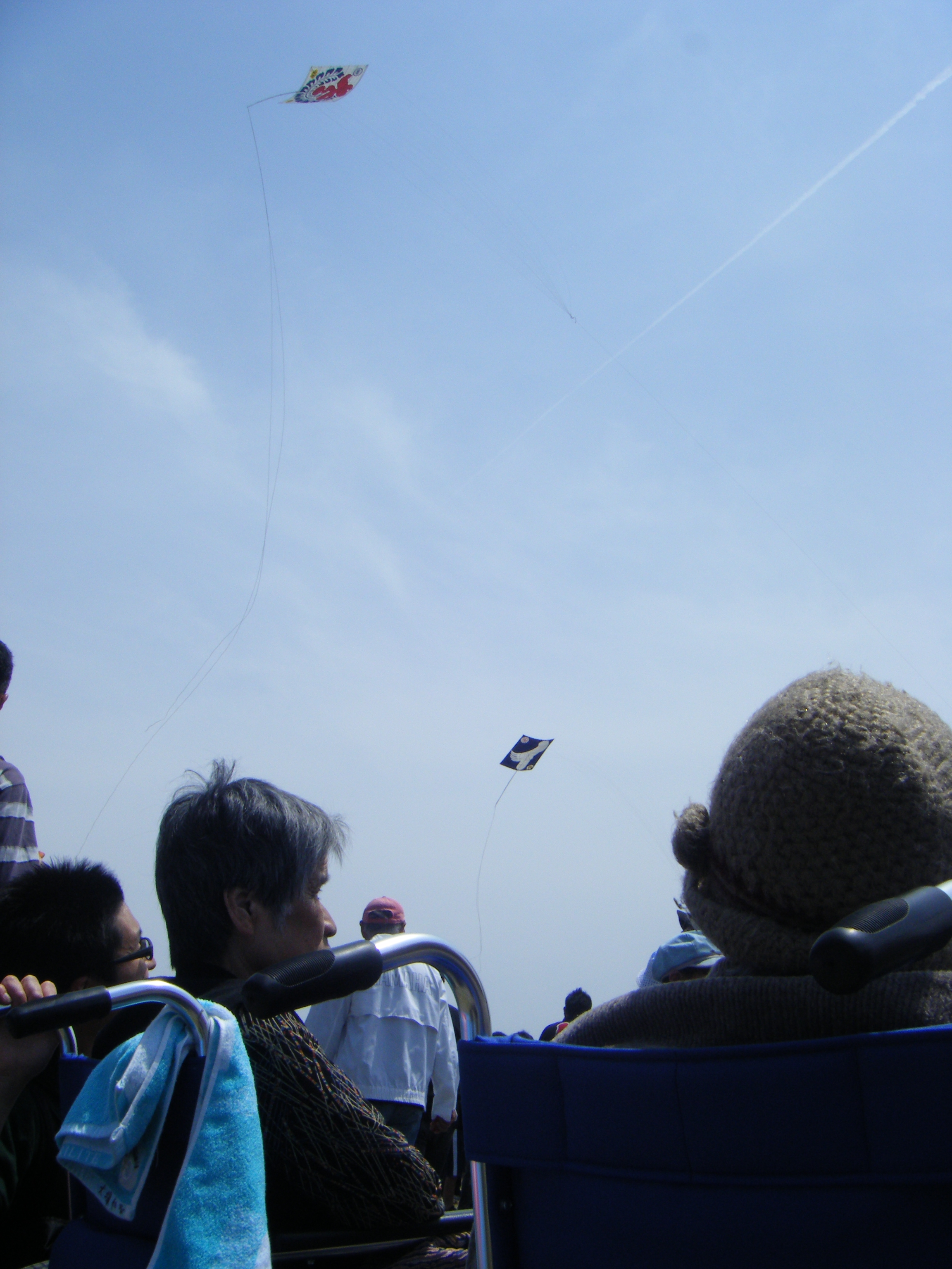 凧揚げ会場に行ってきました！！