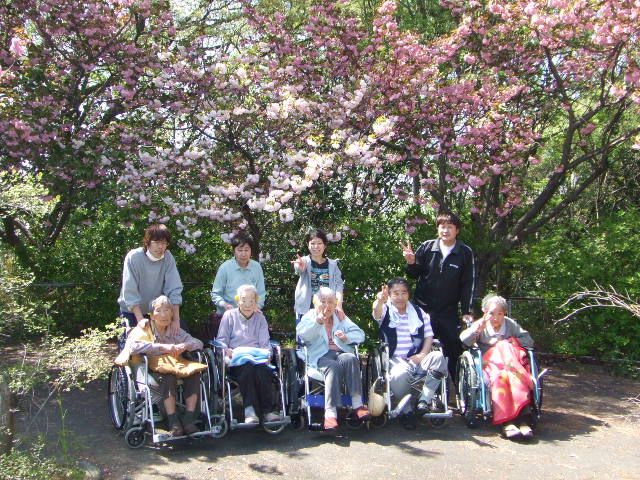 少し遅めのお花見です。