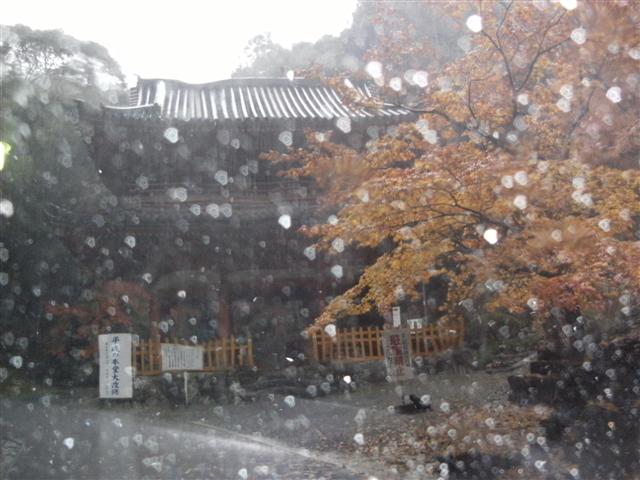 みかん狩りその後・・・
