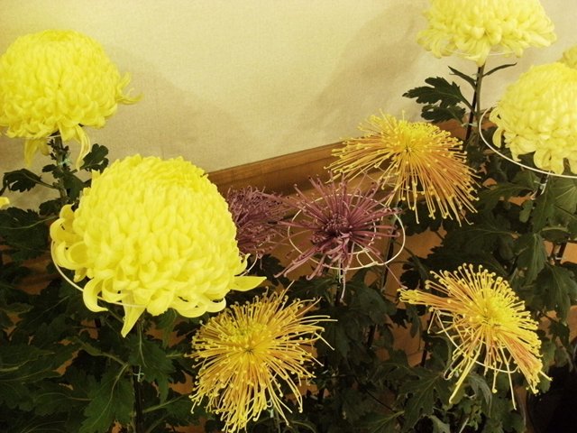 DSCF3434.jpg