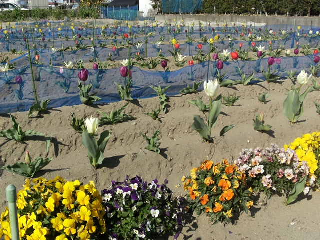 DSCF3891.JPG