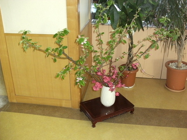 DSCF3899.JPG