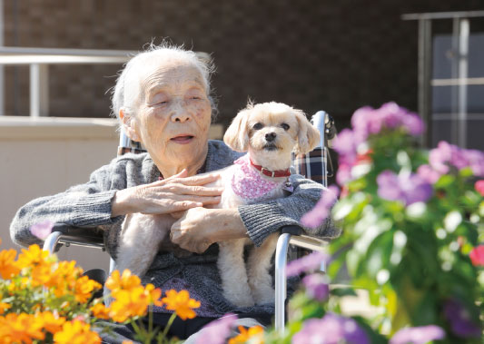 写真:セラピー犬「はな」